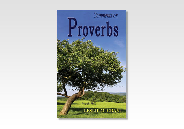 proverbs lmg