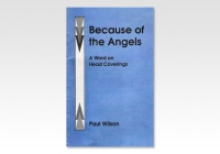 Because of the Angels