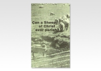 Can a Sheep of Christ ever perish?