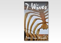 SEVEN WIVES eBook